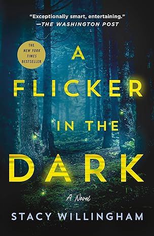 Flicker in the Dark by Stacy Willingham