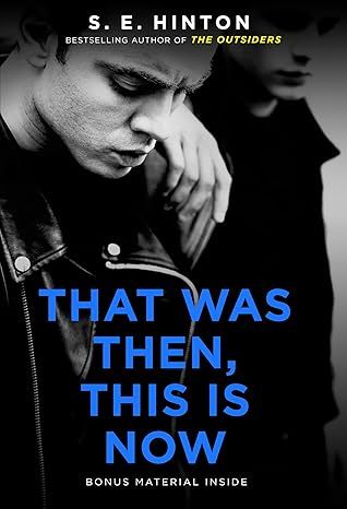 That Was Then, This Is Now by S. E. Hinton - Paperback